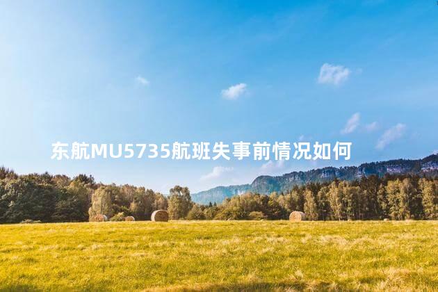 东航MU5735航班失事前情况如何 mu5735为什么坠毁